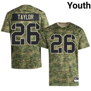 #26 Player Youth Sean Taylor College Football Hurricanes Camo Jerseys 713538-417